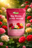 Elegant Climbing Rose Flower Seeds With Plant Growth Suplement